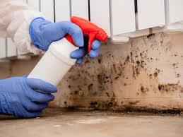 Best Mold Documentation for Insurance Claims  in Pompton Plains, NJ